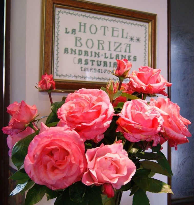 Andrín Hotel La Boriza מראה חיצוני תמונה